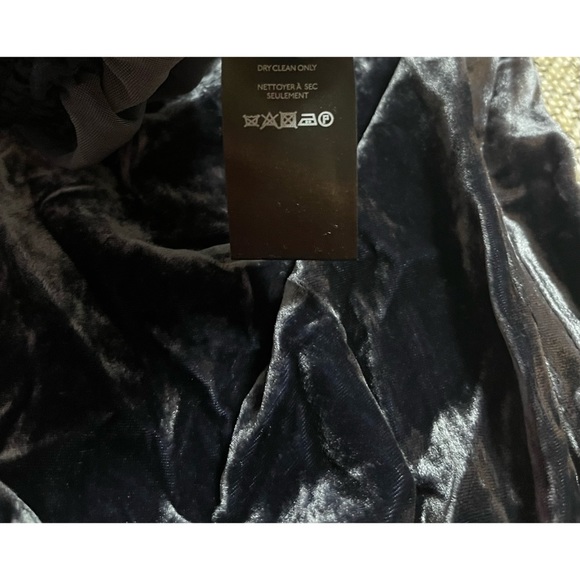 Anthropologie Gloria Velvet Joggers NWT Size XL - Picture 13 of 14